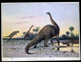 Animaux Préhistoriques: un Laelaps attaquant un Brontosaure